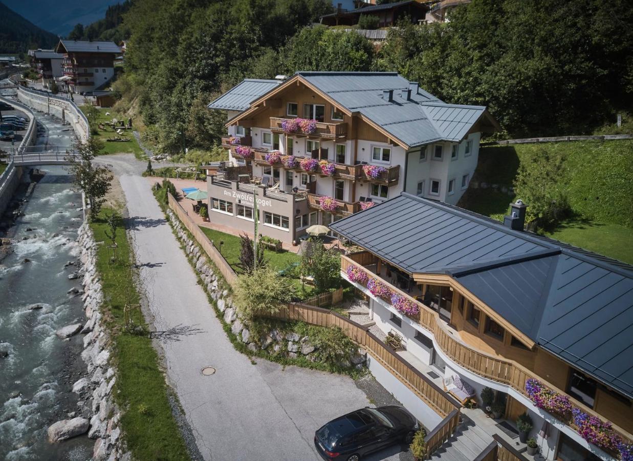 Am Zwoelferkogel Appartements ザールバッハ・ヒンターグレム エクステリア 写真