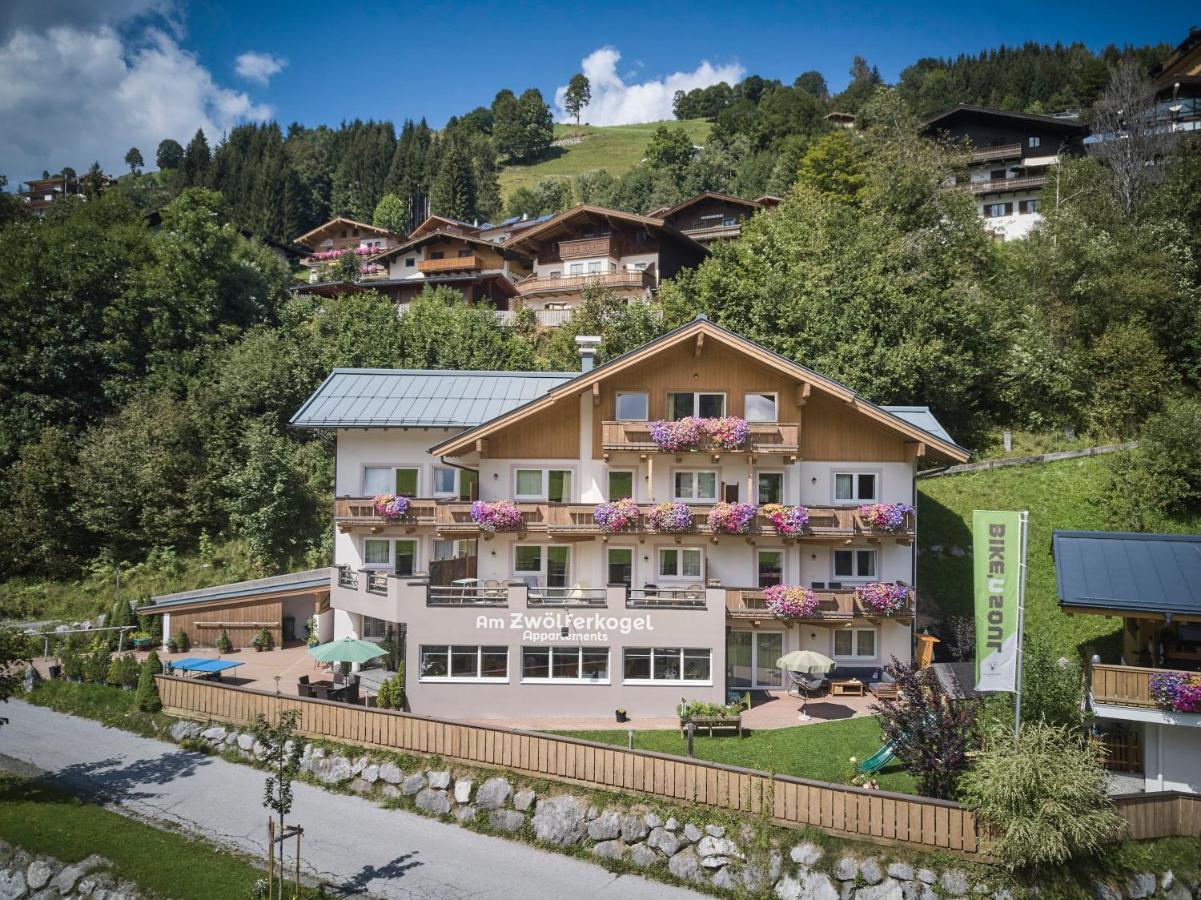 Am Zwoelferkogel Appartements ザールバッハ・ヒンターグレム エクステリア 写真