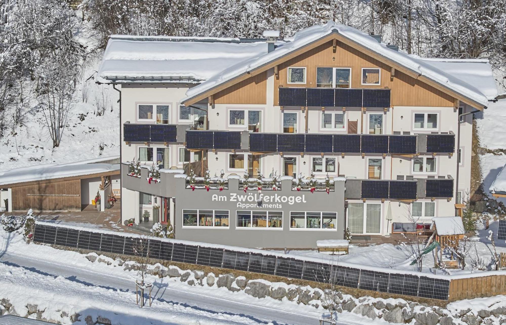 Am Zwoelferkogel Appartements ザールバッハ・ヒンターグレム エクステリア 写真