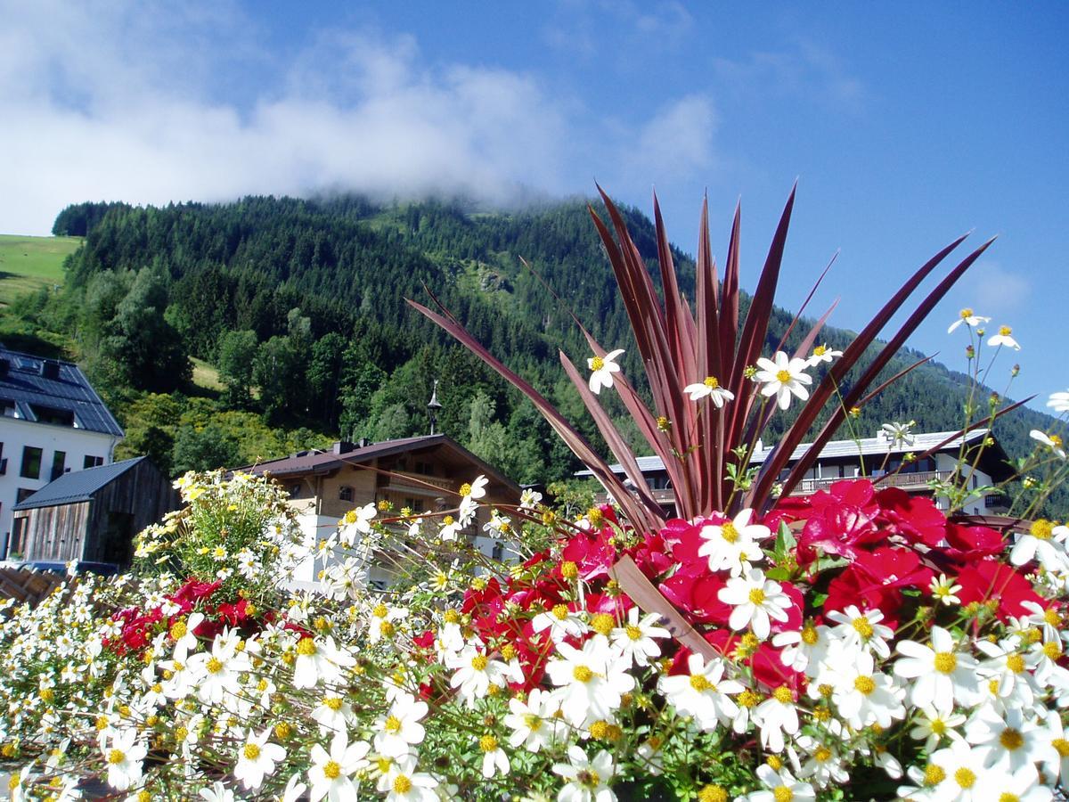 Am Zwoelferkogel Appartements ザールバッハ・ヒンターグレム エクステリア 写真