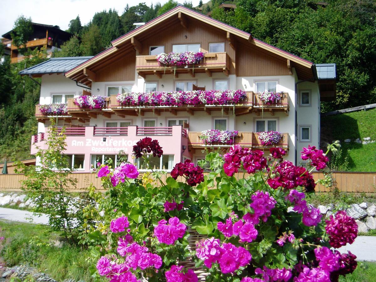 Am Zwoelferkogel Appartements ザールバッハ・ヒンターグレム エクステリア 写真