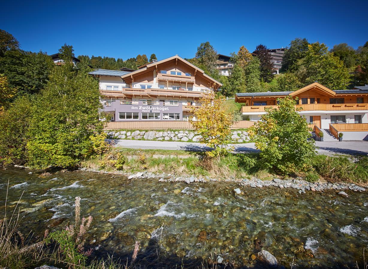 Am Zwoelferkogel Appartements ザールバッハ・ヒンターグレム エクステリア 写真