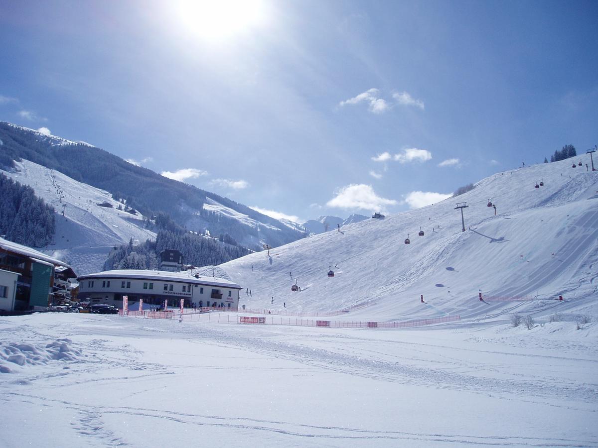 Am Zwoelferkogel Appartements ザールバッハ・ヒンターグレム エクステリア 写真