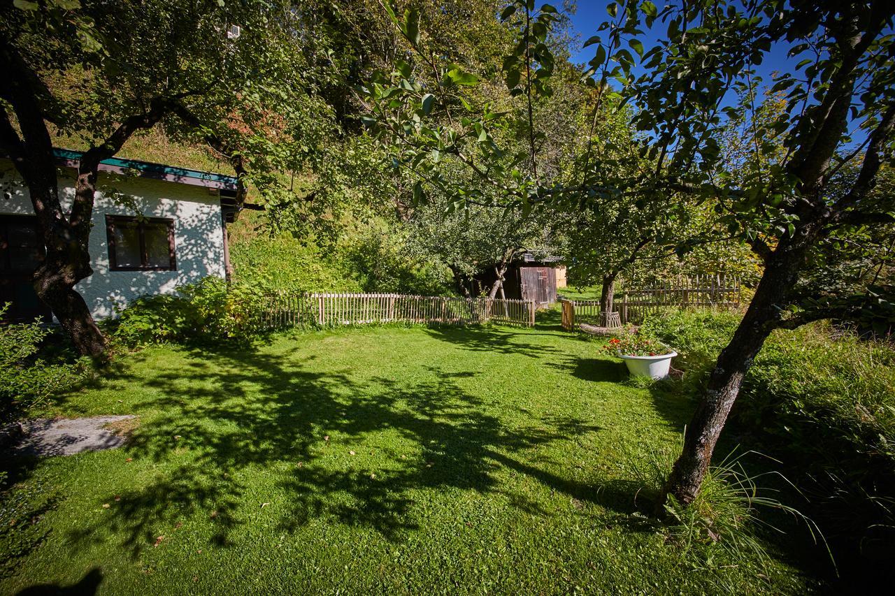 Am Zwoelferkogel Appartements ザールバッハ・ヒンターグレム エクステリア 写真