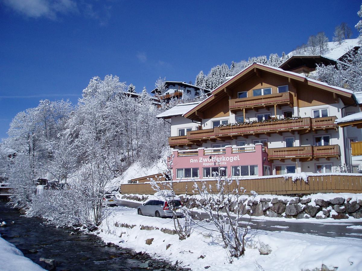 Am Zwoelferkogel Appartements ザールバッハ・ヒンターグレム エクステリア 写真