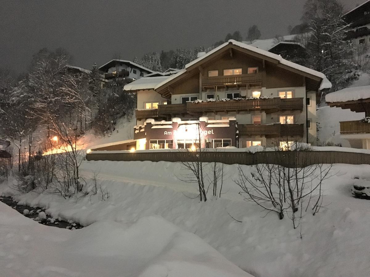 Am Zwoelferkogel Appartements ザールバッハ・ヒンターグレム エクステリア 写真