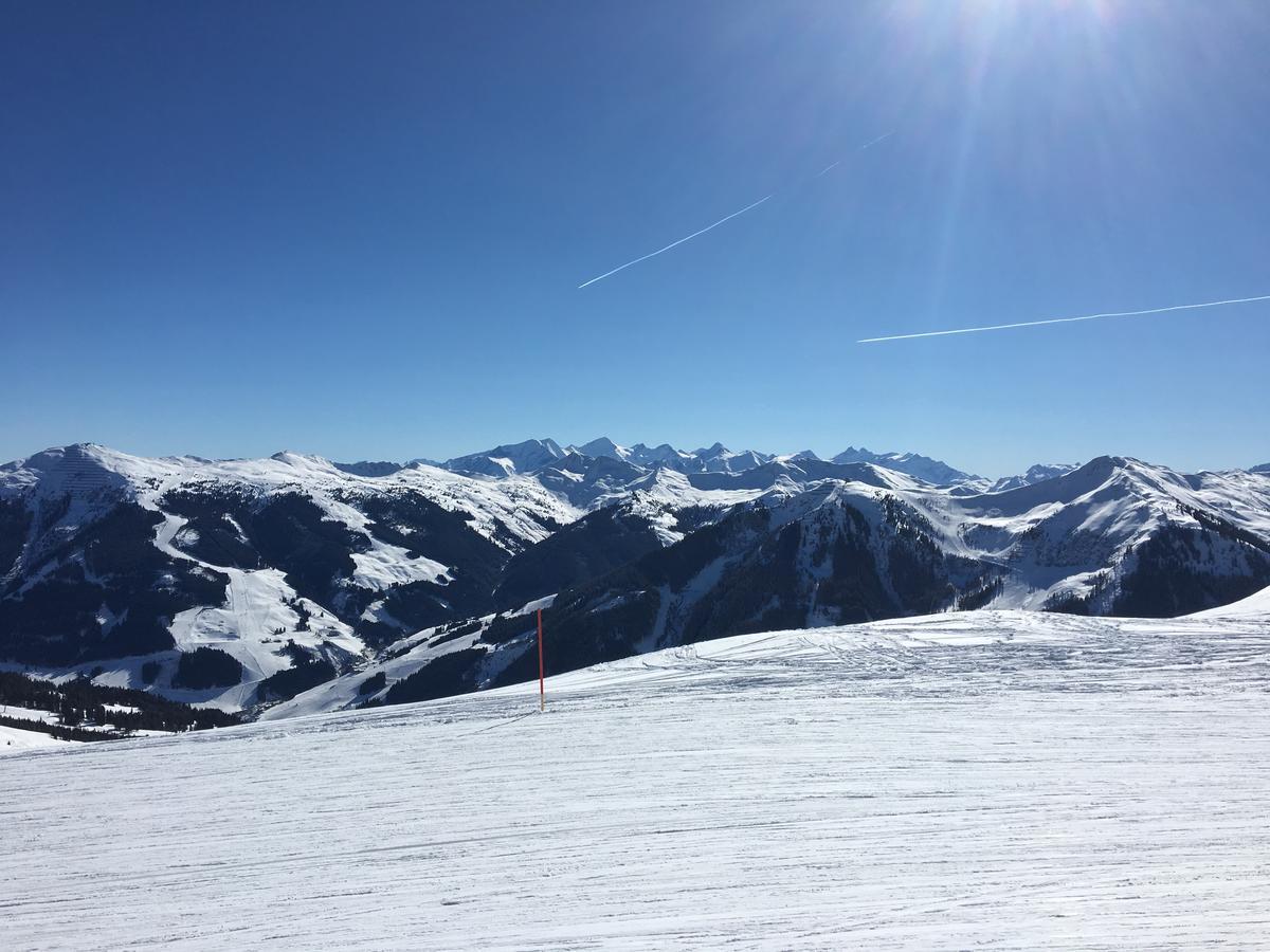 Am Zwoelferkogel Appartements ザールバッハ・ヒンターグレム エクステリア 写真