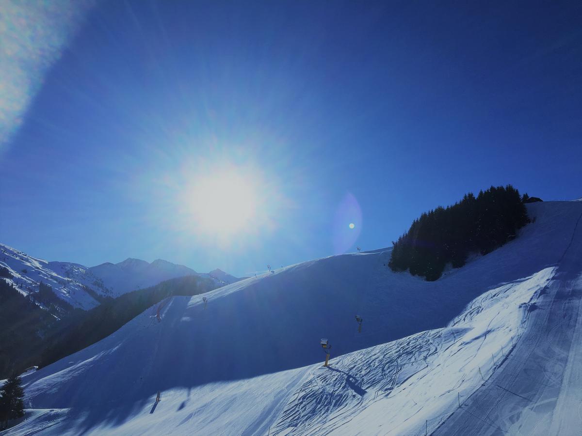 Am Zwoelferkogel Appartements ザールバッハ・ヒンターグレム エクステリア 写真