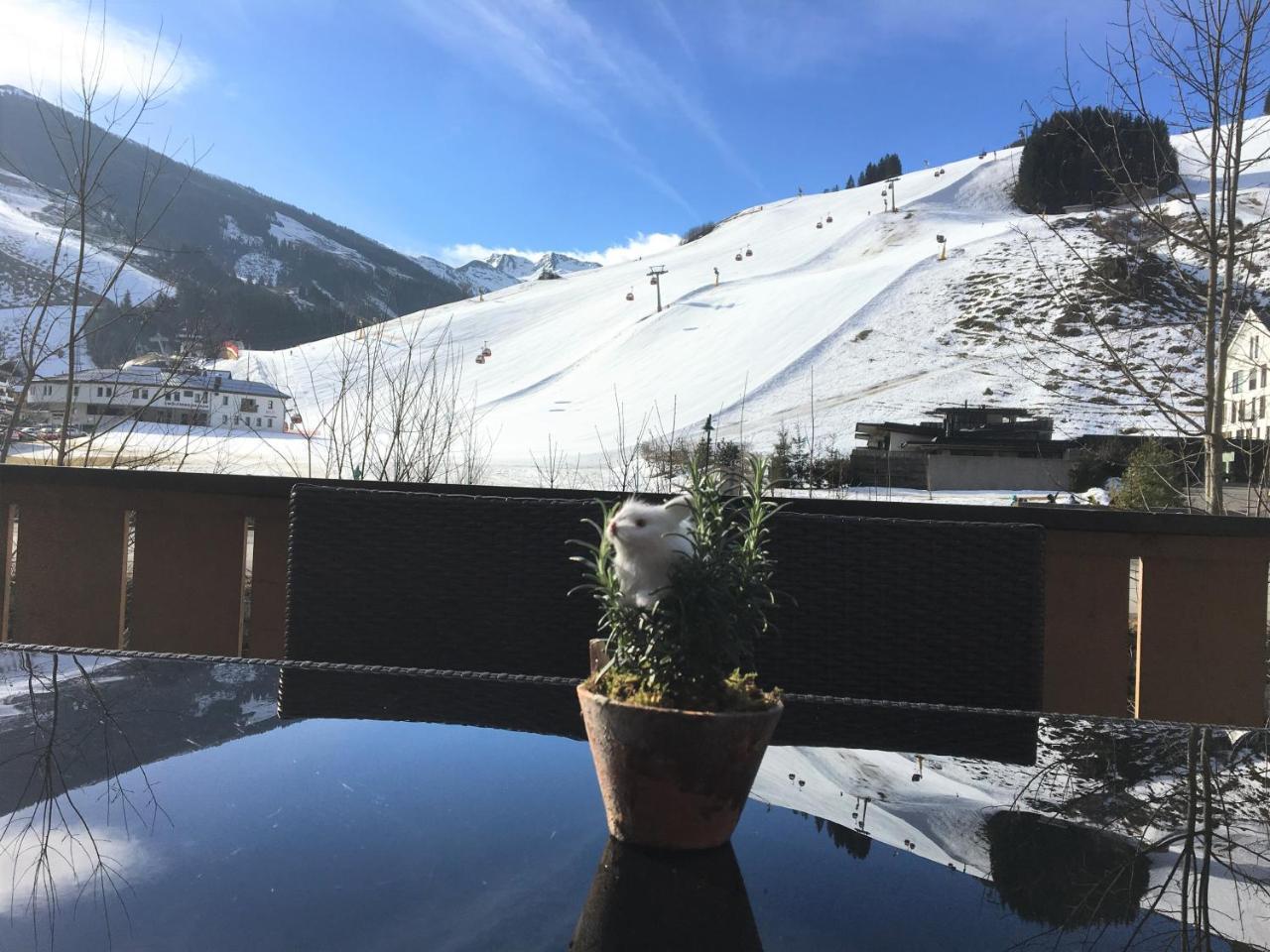 Am Zwoelferkogel Appartements ザールバッハ・ヒンターグレム エクステリア 写真
