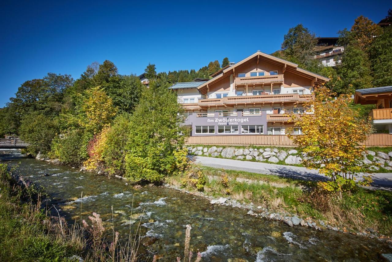 Am Zwoelferkogel Appartements ザールバッハ・ヒンターグレム エクステリア 写真
